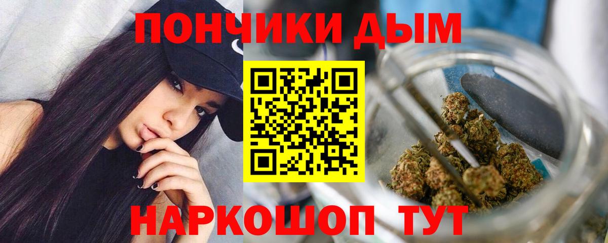 Марихуана планчик  МАРИХУАНА сатива  Печора  Канабис сатива  Вход с VPN 